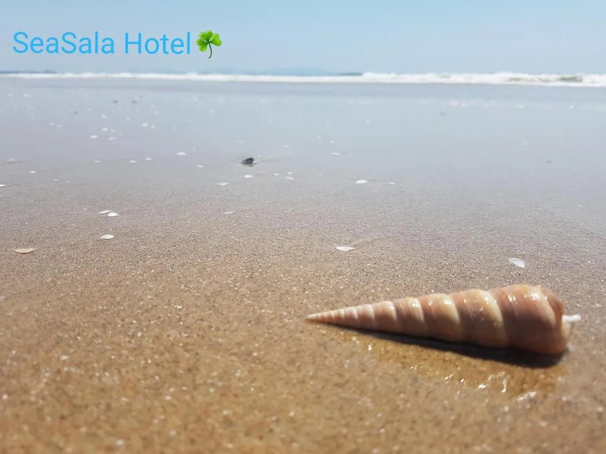 Seasala Hotel Vung Tau 0*,  Vietnam